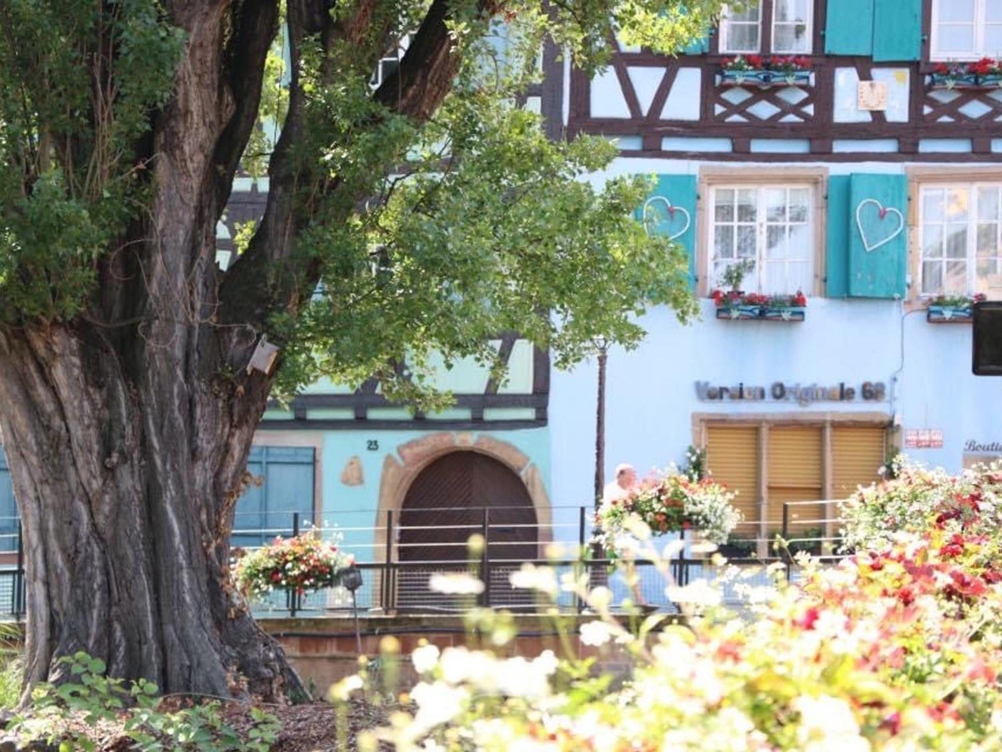 Charmant Appart Avec Garage Et Terrasse Au Coeur De Colmar, Pres De La Route Des Vins D'Alsace - Fr-1-722-6 Екстер'єр фото